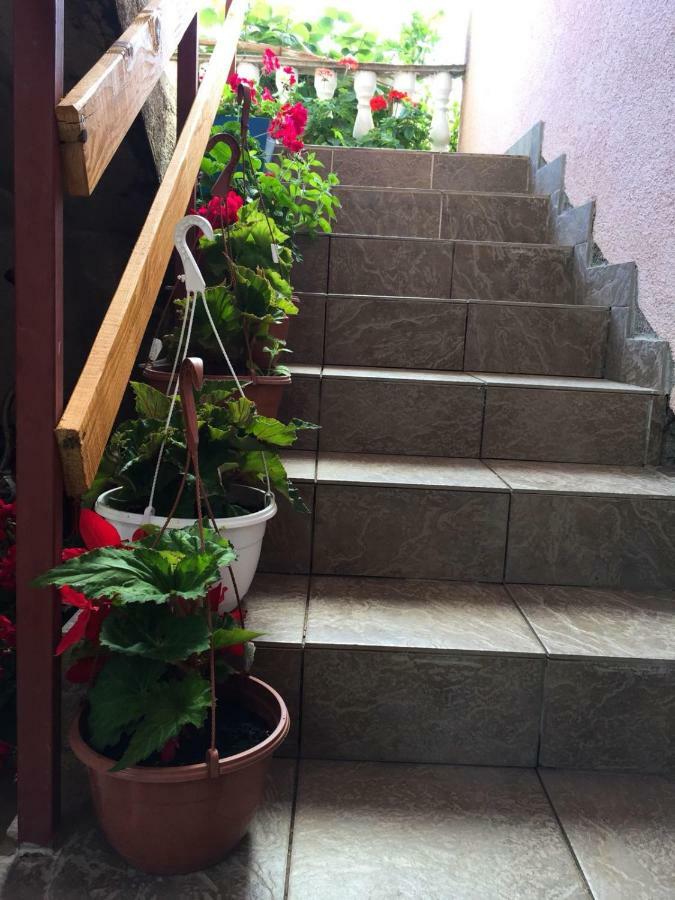Apartments Lucija Solaris Šibenik Dış mekan fotoğraf