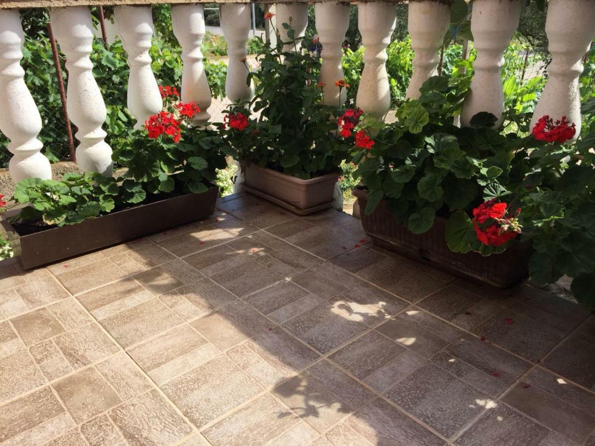 Apartments Lucija Solaris Šibenik Dış mekan fotoğraf